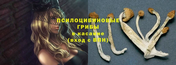 ECSTASY Володарск