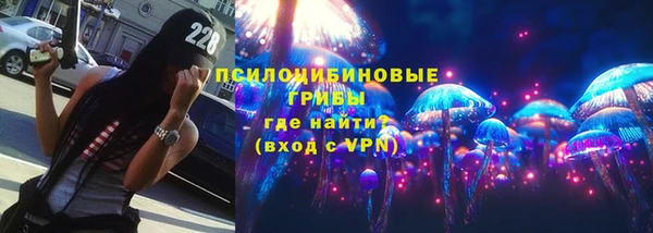 мдпв Волосово