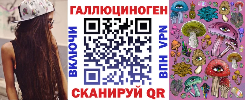 Псилоцибиновые грибы Psilocybine cubensis  Сыктывкар 